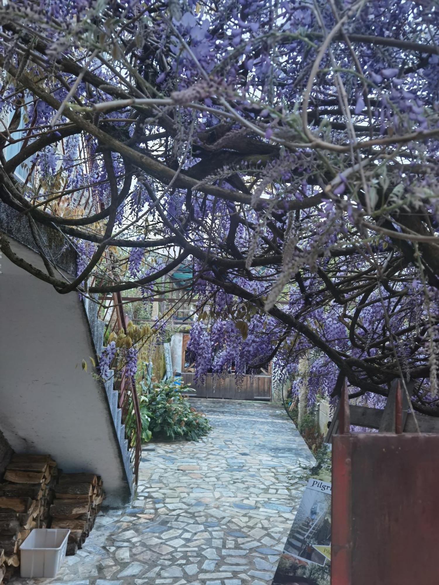 Pilgrims Rest - Vila Nova De Cerveira - Hostel - Albergue - Al Buitenkant foto