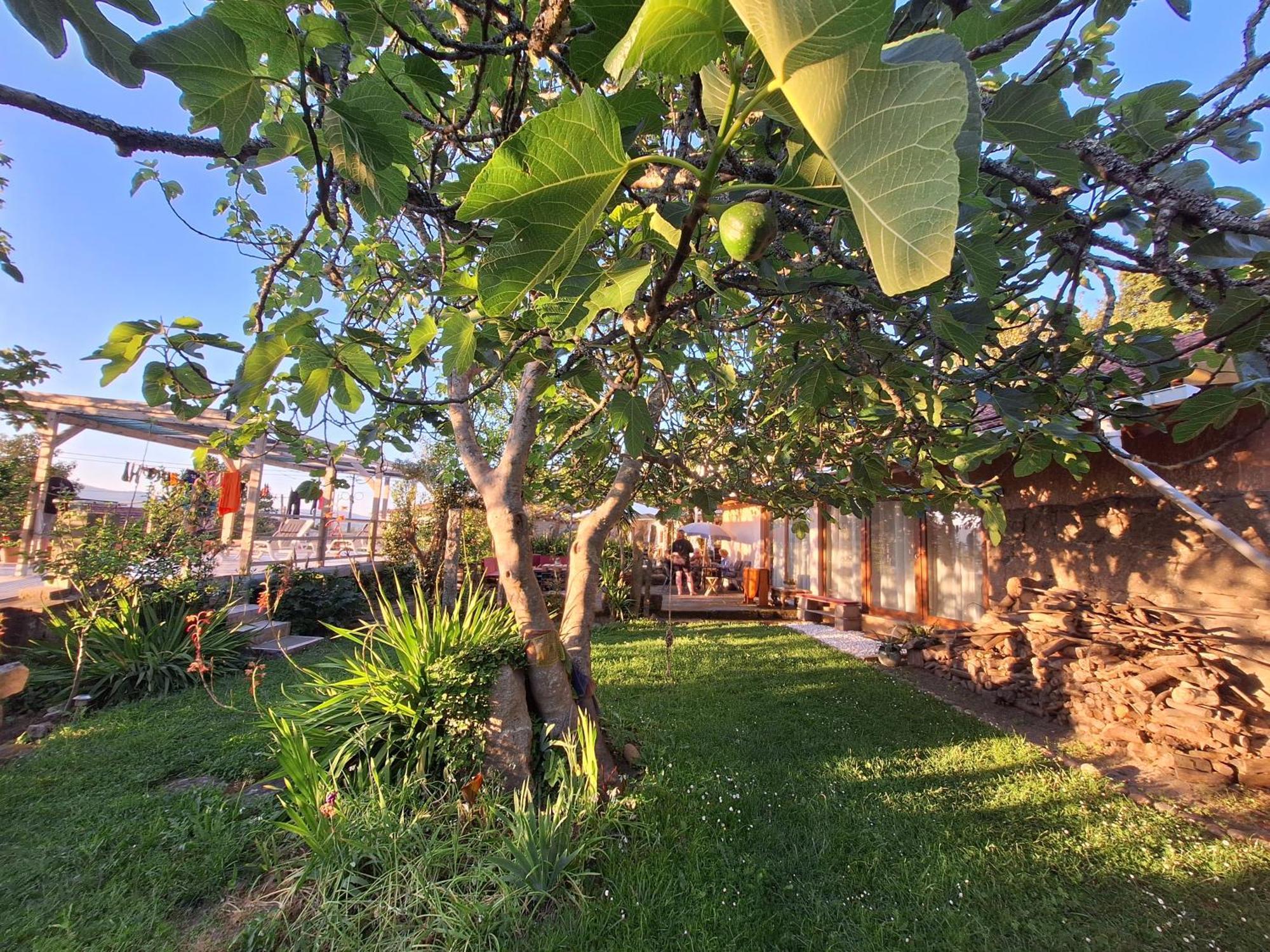 Pilgrims Rest - Vila Nova De Cerveira - Hostel - Albergue - Al Buitenkant foto